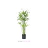 Location Cyperus, artificiel, 76 cm